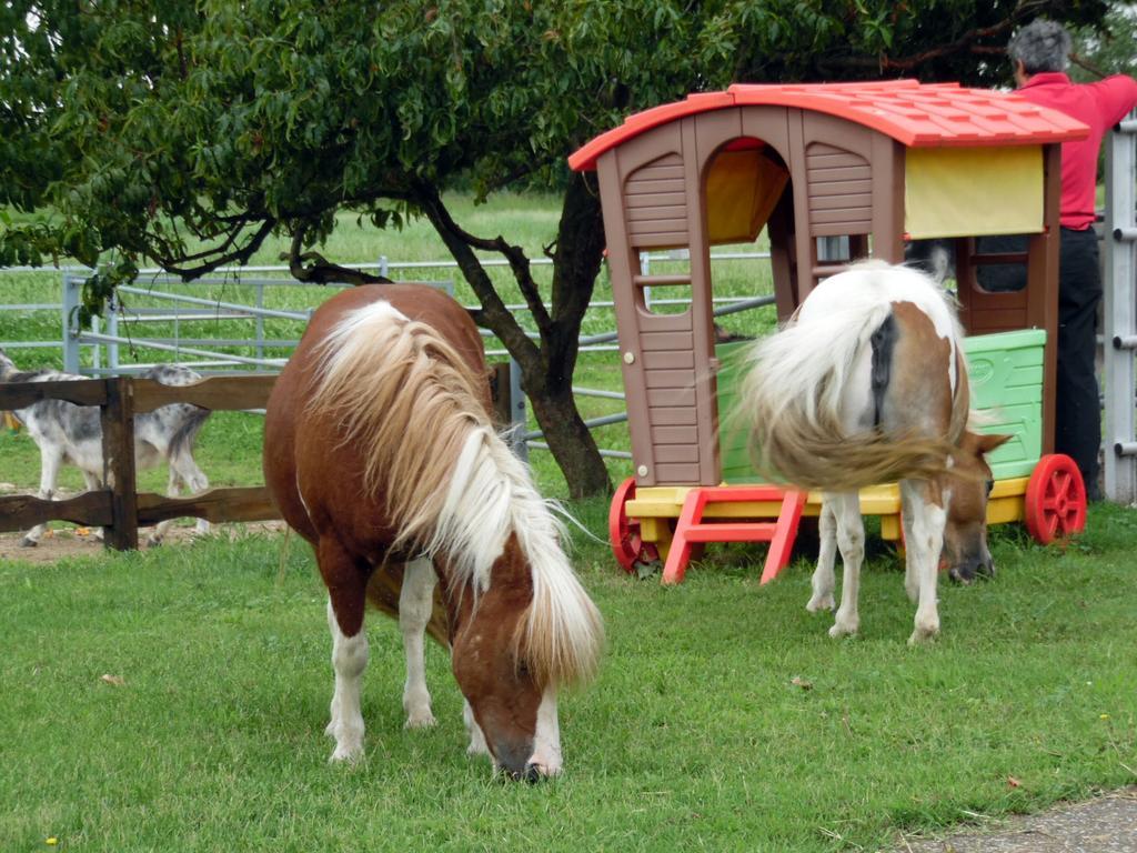 Bed And Breakfast Azienda Agricola Cascina Salazzara 马真塔 外观 照片