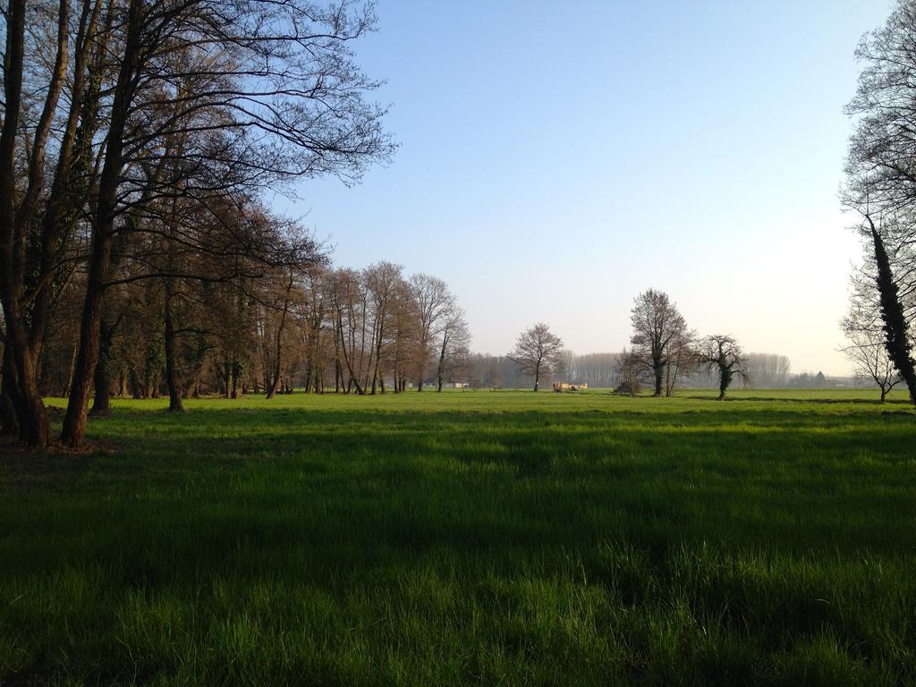 Bed And Breakfast Azienda Agricola Cascina Salazzara 马真塔 外观 照片
